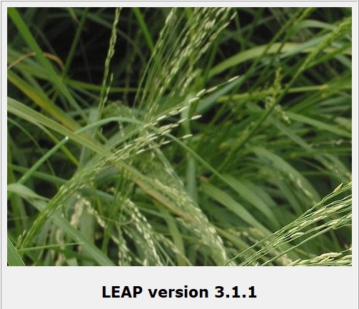 LEAP logo
